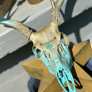 Deer skulls customized paint !